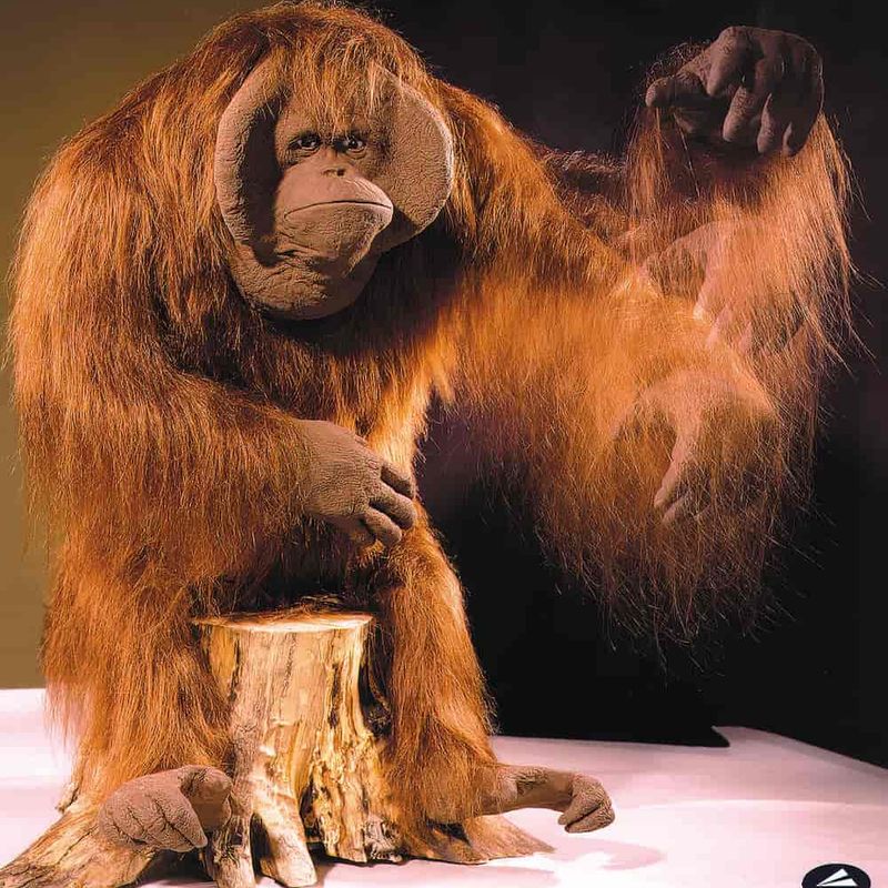 demcon-aap-patient-company